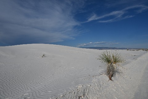 White Sands, Alamogordo, New Mexico