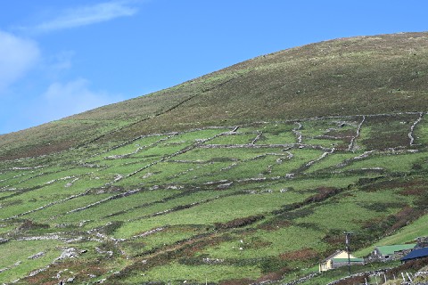 Stone walls, Dingle peninsula