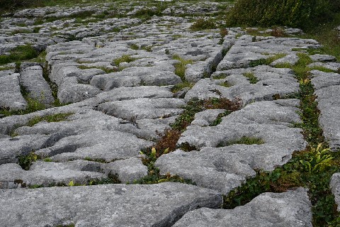 Limestone surface, the Burren