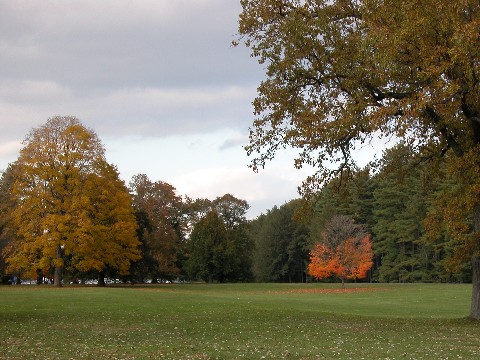 Vanderbilt estate