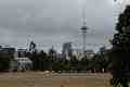 Sky Tower from the Auckland Domain