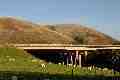 Motorway bridge, Tebay