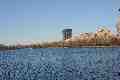Jacqueline Onassis Reservoir and Upper West Side