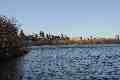 Jacqueline Onassis Reservoir and Upper East Side