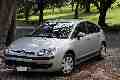 My new car