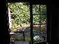 The view out of the window