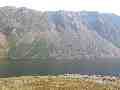 The Screes